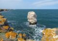 Bulgarian Patriarch calls for faith, courage, and unity during St. George’s Day celebrations – Orthodox Times