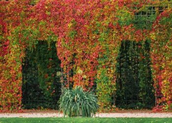 PergoMaxx Launches Direct-to-Consumer Bioclimatic Pergola Platform in Croatia Starting at €4,990 – The Manila Times