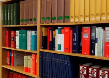The Abortion Law Paradox in the Faroe Islands – nordics.info | Aarhus University
