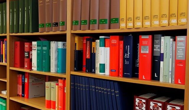 The Abortion Law Paradox in the Faroe Islands – nordics.info | Aarhus University