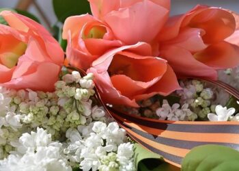 Lithuania Victory Day – Goshen News