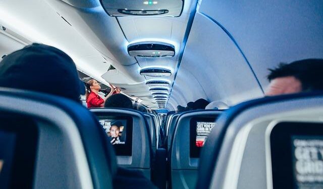 Netherlands flight attendant hospitalized after hantavirus exposure linked to Johannesburg case – Firstpost