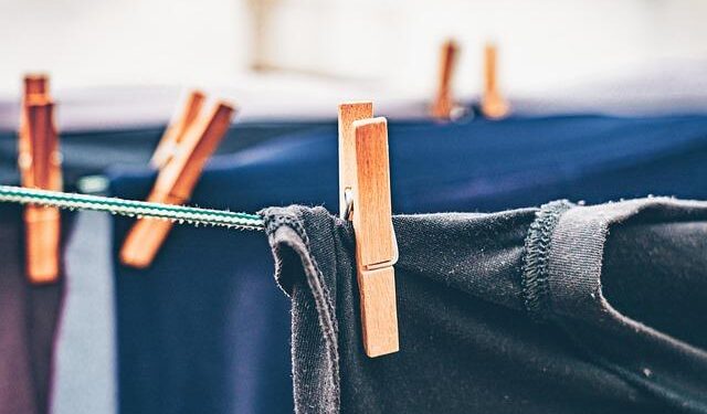 Germany Clothes Drying Rack Refill – Market Analysis, Forecast, Size, Trends and Insights – IndexBox