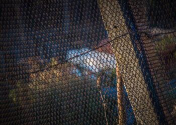 LINK GALAXY on its way back to Norway – Shippax