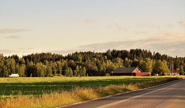 Sweden Days Celebrates Summer – The Conway Daily Sun