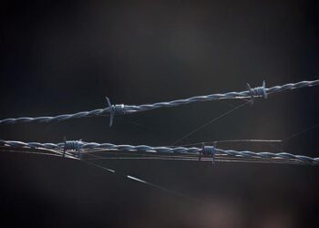 Minister: Estonia sends extra border guards to Latvia as Belarus drives migrant surge – ERR