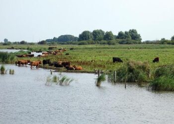 A sixth of mainland Norway is protected areas – Statistisk sentralbyrå