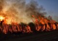 More than 200 evacuated as wildfire rages near Italy’s Lake Garda – Yahoo