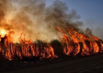 More than 200 evacuated as wildfire rages near Italy’s Lake Garda – Yahoo