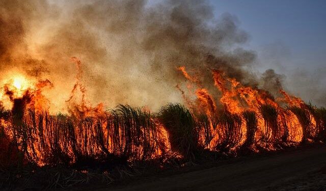 More than 200 evacuated as wildfire rages near Italy’s Lake Garda – Yahoo