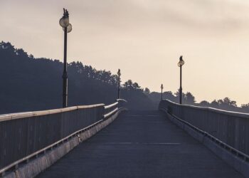 Stops Along the Path of Totality – NASA Science (.gov)