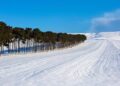 Another 102 people relocated to Azerbaijan’s Khankandi – Report.az