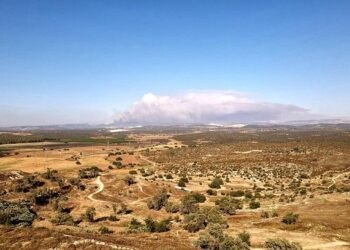 Wildfires spread across Greece, conditions worsen in France and Spain – Reuters