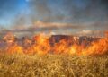 Hundreds of villagers evacuate as Belgium battles record wildfire – France 24