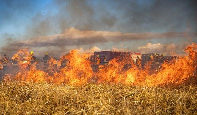 Hundreds of villagers evacuate as Belgium battles record wildfire – France 24