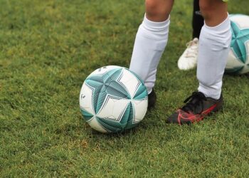 The Bosnian soccer team lost. Bosnians in St. Louis won anyway – STLPR