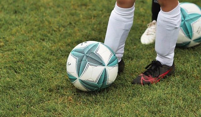 The Bosnian soccer team lost. Bosnians in St. Louis won anyway – STLPR