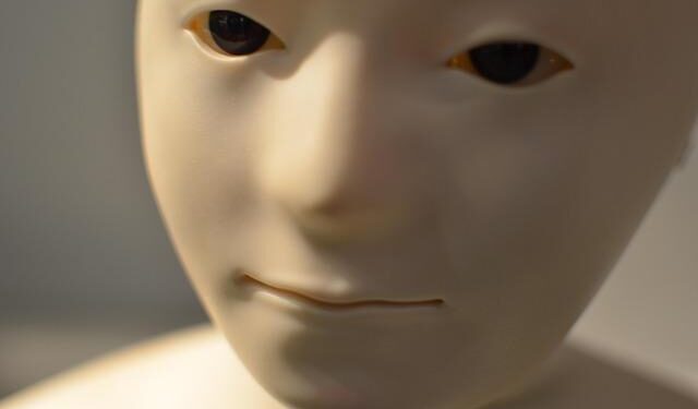 Germany’s VDMA lobby calls on Europe to step up on humanoid robotics as Unitree surges – Euronext Markets
