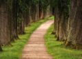 The epic hiking trail that explores one of Europe’s last great wildernesses – CNN