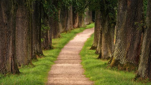 The epic hiking trail that explores one of Europe’s last great wildernesses – CNN