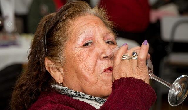Mapuche Williche Communities File Landmark Complaint Against Statkraft in Norway for Sacred Territory Impacts – elciudadano.com