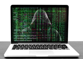 Cyberattack in Liechtenstein: Austria Also Affected – Deloitte