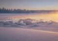 ‘We need to be prepared’: Finland sounds alarm over rising Russian sabotage threat – TVP World