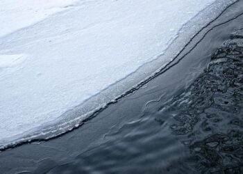 Finland proposes new principles for agricultural subsidies – UA.NEWS