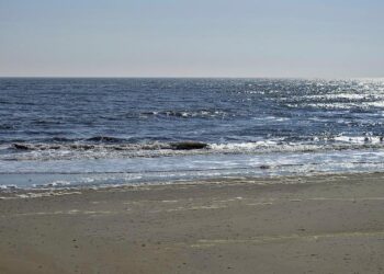 Families pack Jersey Shore for Labor Day send-off – FOX 29 Philadelphia