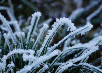 Luxembourg secures winter gas, UN praises aid for women, and AfD leads polls ahead of German state election – today.rtl.lu