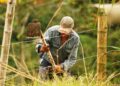 Demirovski: Macedonian Ammo Maker Untouched by Scandals in Serbia – Balkan Insight