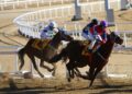 Erzurum’s ancient horse race tradition draws 120 riders into traditions – Türkiye Today