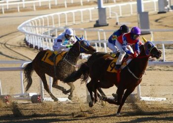 Erzurum’s ancient horse race tradition draws 120 riders into traditions – Türkiye Today