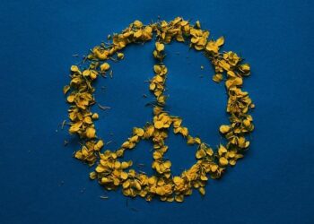 US sees progress on Ukraine peace: Witkoff – TRT World