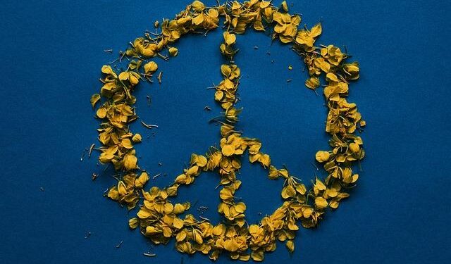 US sees progress on Ukraine peace: Witkoff – TRT World