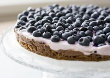 Moroccan blueberry exports to Finland reach record 657 tons – FreshPlaza