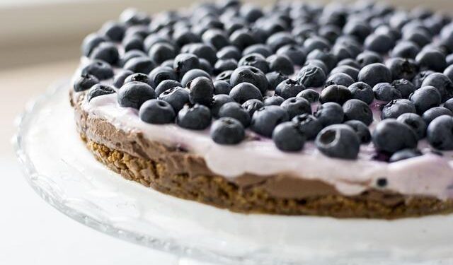 Moroccan blueberry exports to Finland reach record 657 tons – FreshPlaza
