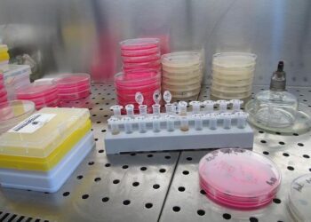 Northway Biotech opens €61m cell therapy CDMO in Lithuania – Manufacturing Chemist