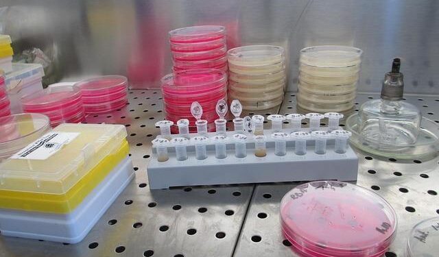 Northway Biotech opens €61m cell therapy CDMO in Lithuania – Manufacturing Chemist