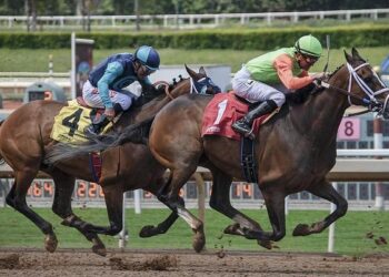 As Albania prepares to bring sports betting out of the shadows, conditions favour international operators – iGaming Business