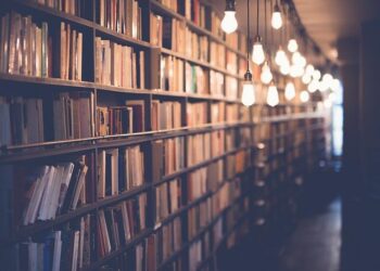Participants of Sociological Study in Belarus Identify Formula for Country’s Political Success – News.by
