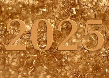 Digital 2025: Svalbard And Jan Mayen – DataReportal – Global Digital Insights