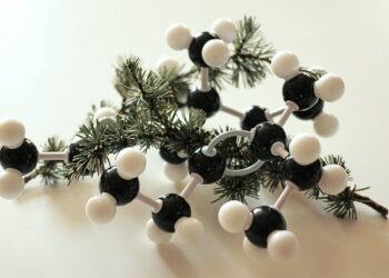 YPP Eyes $2B Green Hydrogen and Ammonia Complex in Kazakhstan – ChemAnalyst