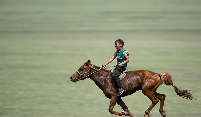 Mongolia and North Macedonia discuss bilateral cooperation – AKIpress News Agency