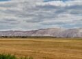 Belarusian potash returns to U.S. market – but Lithuania stands firm – Belsat