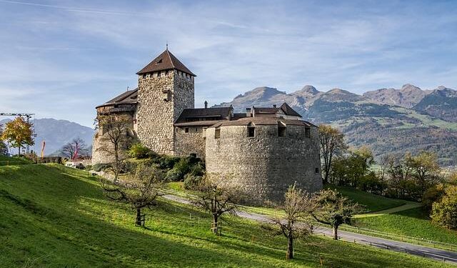 Liechtenstein Beneficial Ownership Register Hit By Cyber Attack – WealthBriefing