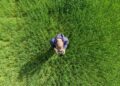 Contraband drones from Belarus hit record high in Lithuania – Belsat