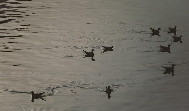 Kazakhstan, Partners Target Falling Caspian Sea Levels With New Monitoring Project – The Astana Times