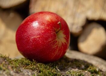 Poland protected its apple growers from Ukraine and got the opposite result, just as EastFruit warned – EastFruit