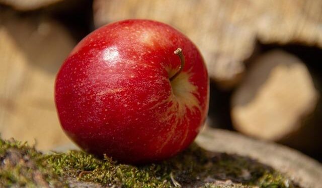 Poland protected its apple growers from Ukraine and got the opposite result, just as EastFruit warned – EastFruit